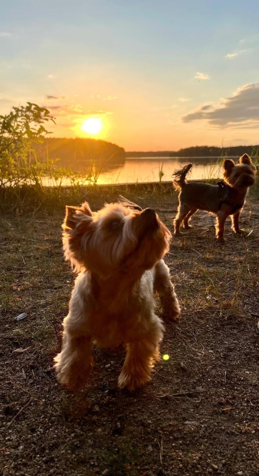 Skrawek Nieba Borsk Villa Bagian luar foto